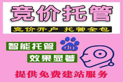 深度解析sem账户托管的策略与执行过程